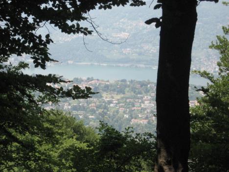 Lugano 087.jpg   32kb   26.03.2021 22:37:49